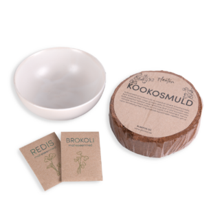 Gift set for growing shoots with coconut soil-2