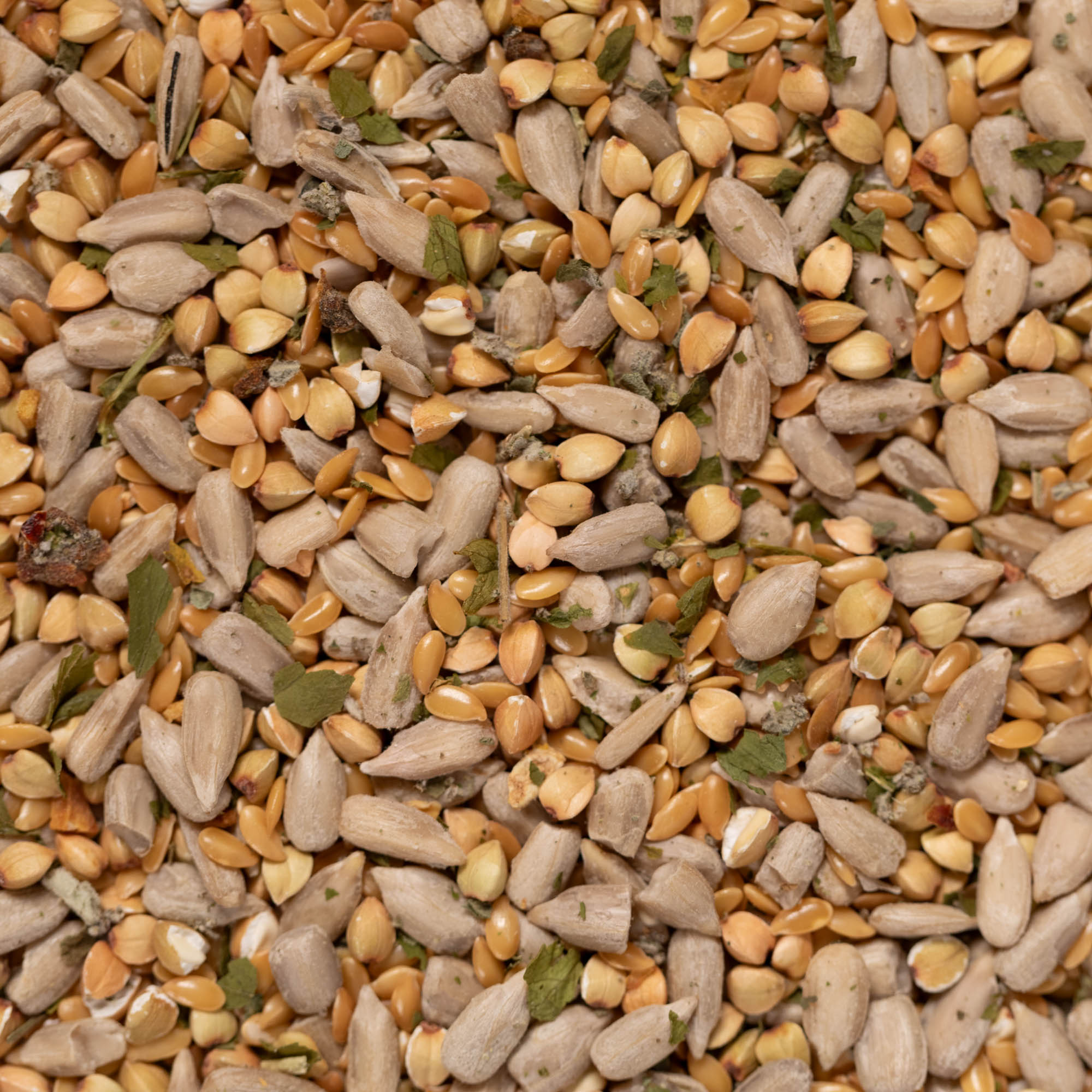 Lina.päevalill,tatar.ürdid-1