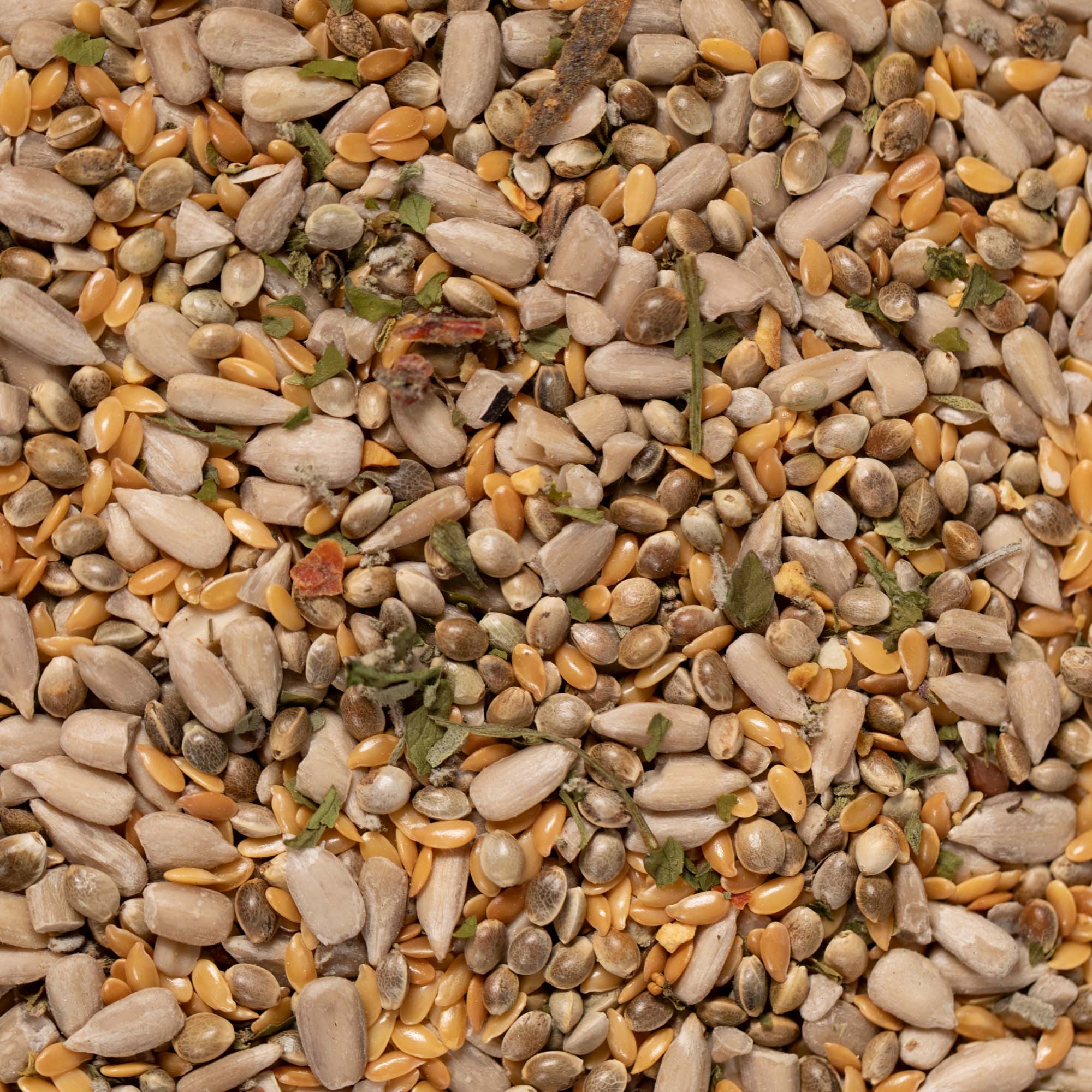 Päevalill.kanep.lina.ürdid-1