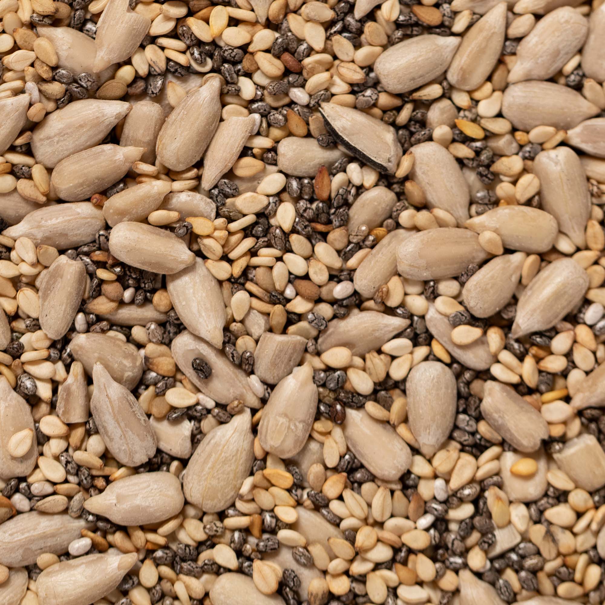 Tšiia.seesam.päevalill-1